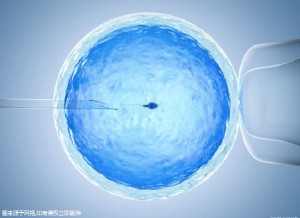 供卵代孕公司咨询
